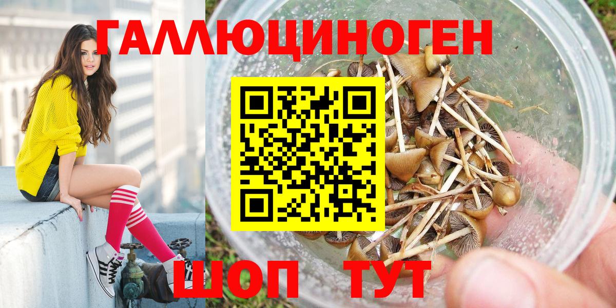 Галлюциногенные грибы Cubensis  Вход с VPN  Москва 